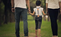 solicitors information about mediation